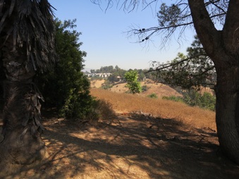 Enlarge photo 31