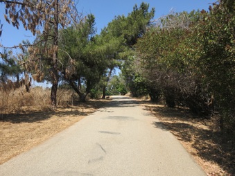 Enlarge photo 32
