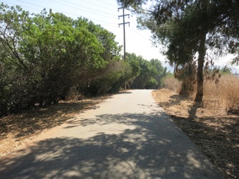 Enlarge photo 33