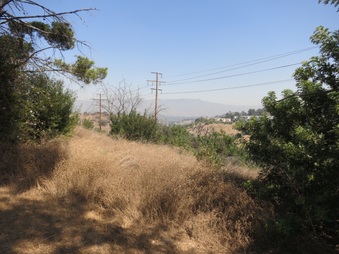 Enlarge photo 34