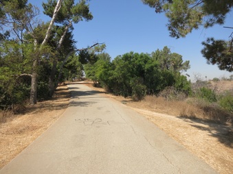 Enlarge photo 35