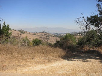 Enlarge photo 36