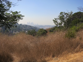 Enlarge photo 37