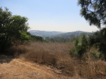 Enlarge photo 38