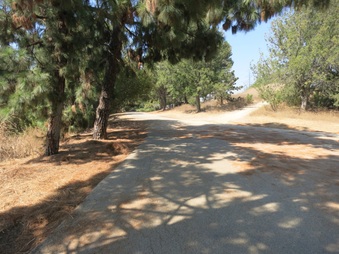 Enlarge photo 39