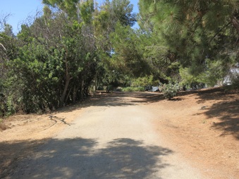 Enlarge photo 40