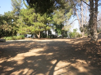 Enlarge photo 41