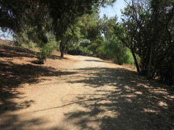 Enlarge photo 42