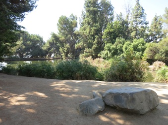Enlarge photo 43