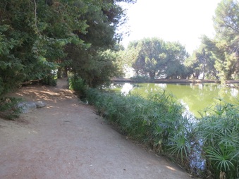 Enlarge photo 44