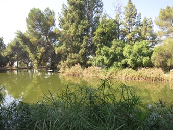 Enlarge photo 45