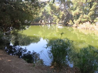 Enlarge photo 46