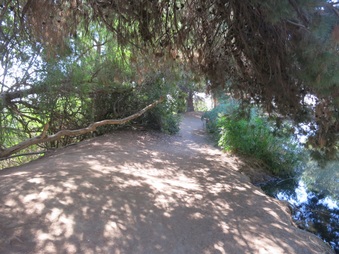 Enlarge photo 47