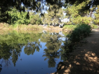 Enlarge photo 48