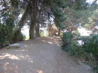 Enlarge photo 49