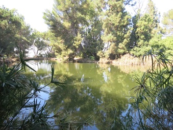 Enlarge photo 51