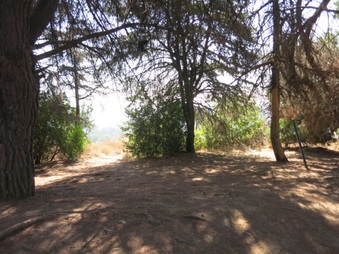 Enlarge photo 52