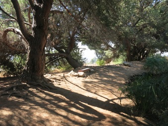 Enlarge photo 53