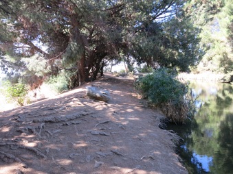 Enlarge photo 54