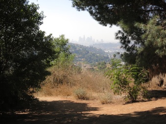 Enlarge photo 55