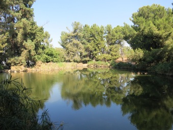 Enlarge photo 56