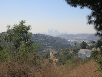 Enlarge photo 57