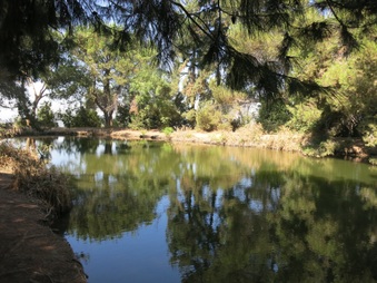 Enlarge photo 58