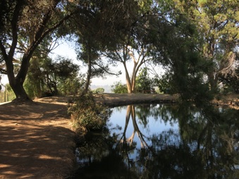 Enlarge photo 59