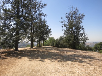 Enlarge photo 62
