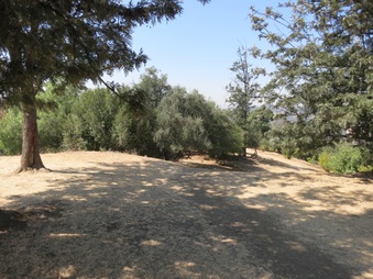 Enlarge photo 63