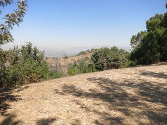Enlarge photo 65
