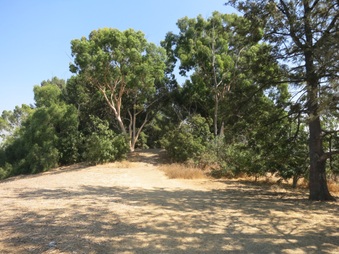 Enlarge photo 66