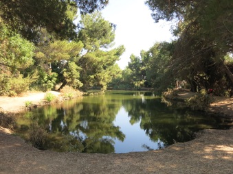 Enlarge photo 67