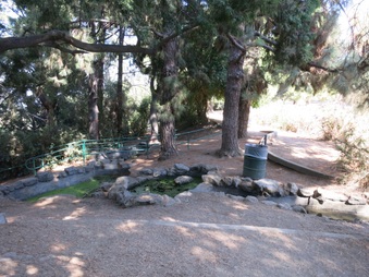 Enlarge photo 69