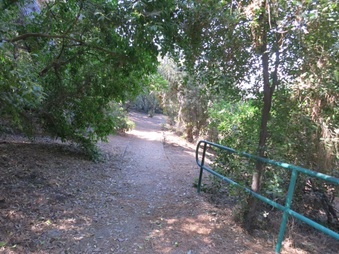 Enlarge photo 71