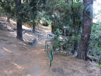 Enlarge photo 73