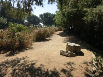 Enlarge photo 75