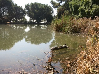 Enlarge photo 76