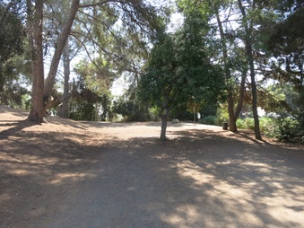 Enlarge photo 77