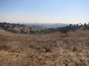 Enlarge photo 85