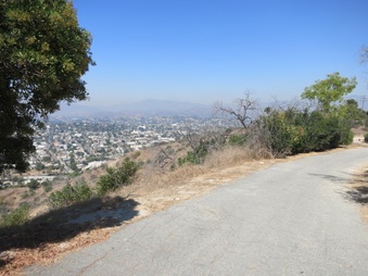 Enlarge photo 88