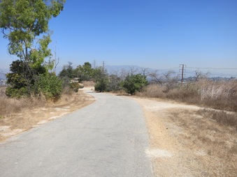 Enlarge photo 89