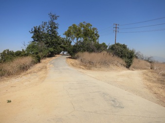 Enlarge photo 91