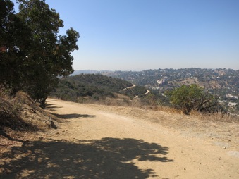 Enlarge photo 92
