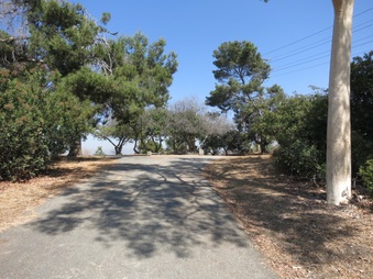 Enlarge photo 93