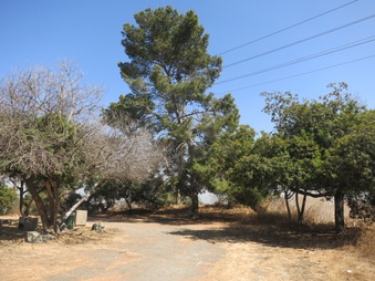 Enlarge photo 94