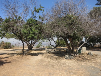 Enlarge photo 95