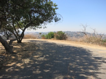 Enlarge photo 97