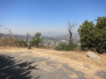 Enlarge photo 98