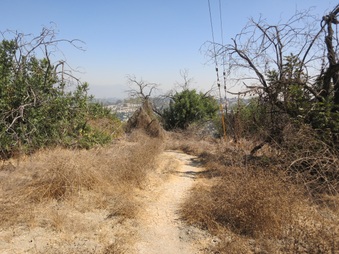 Enlarge photo 100